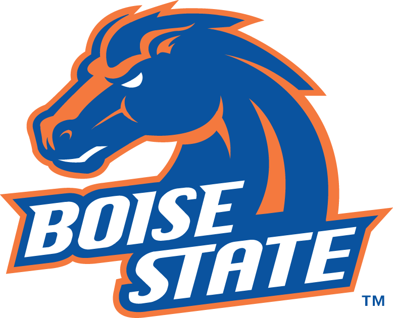 Boise State Broncos 2002-2012 Alternate Logo v3 iron on transfers for clothing
